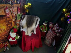 Santa's Grotto